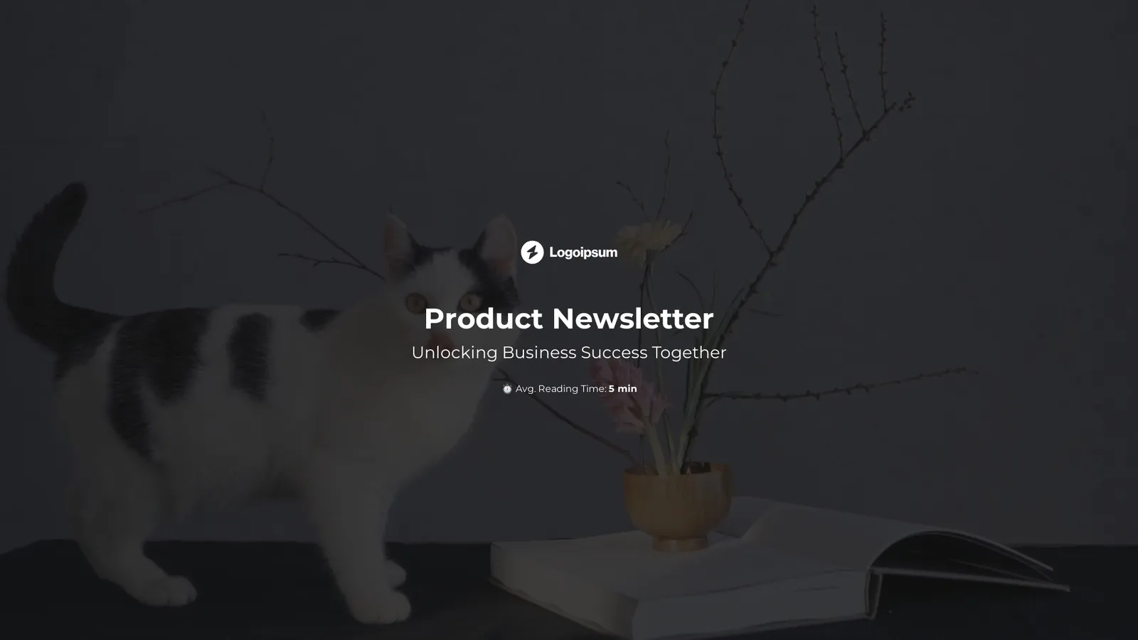 Dark mode product newsletter
